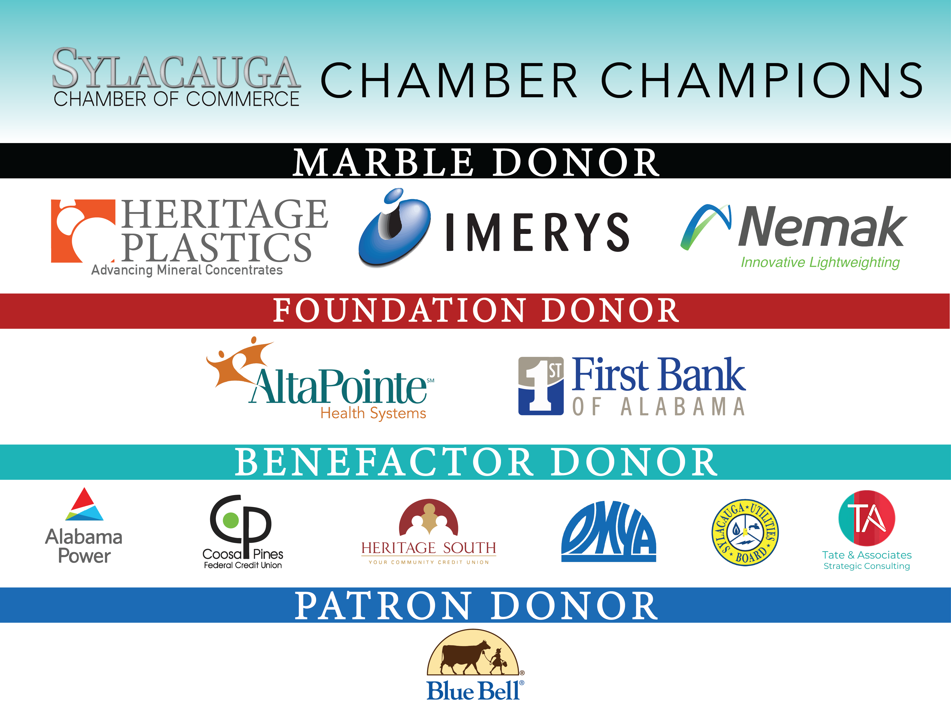 2024 CHAMBER CHAMPIONS BANNER